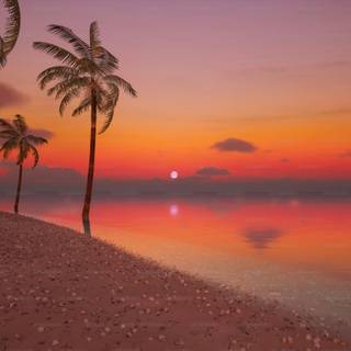 Sunset on beach island wallpaper