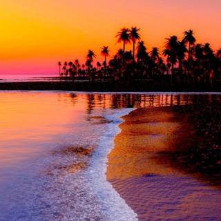 Sunset on beach island wallpaper