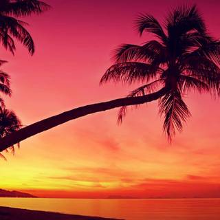 Sunset on beach island wallpaper