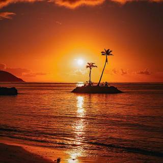 Sunset on beach island wallpaper