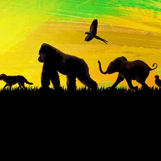 The One and Only Bob wallpaper