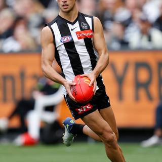 Nick Daicos wallpaper
