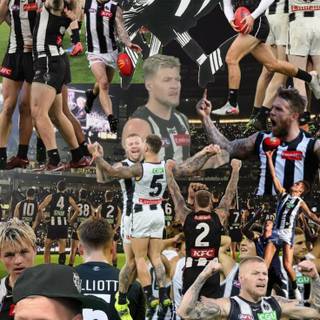 Nick Daicos wallpaper