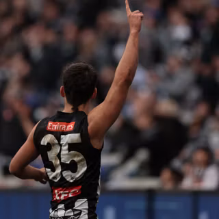 Nick Daicos wallpaper