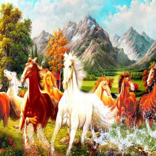 8 horses wallpaper