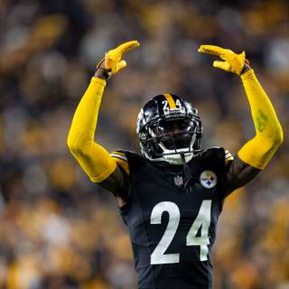 Joey Porter Jr wallpaper