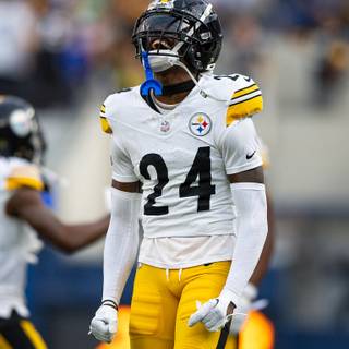 Joey Porter Jr wallpaper