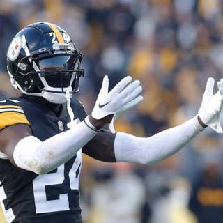 Joey Porter Jr wallpaper