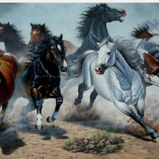 8 horses wallpaper