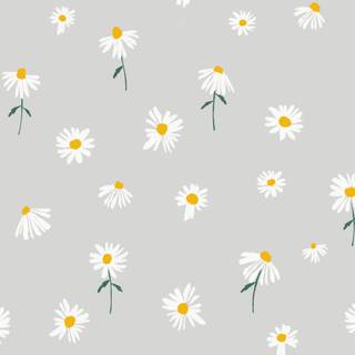 Daisy laptop wallpaper