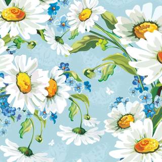 Daisy laptop wallpaper