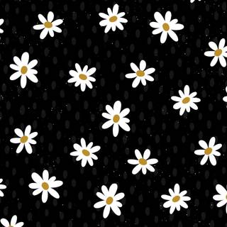Daisy laptop wallpaper