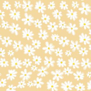 Daisy laptop wallpaper