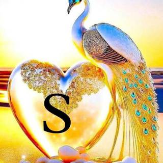 Love profile wallpaper