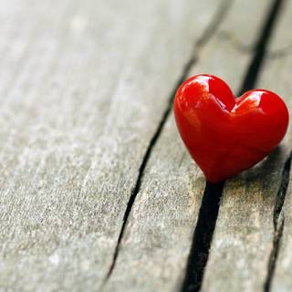 Love profile wallpaper