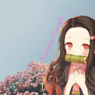 Nezuko Kamado cute wallpaper