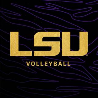 LSU volleyball wallpaper