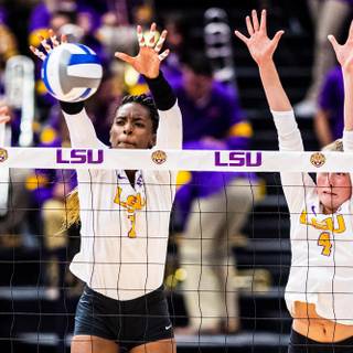 LSU volleyball wallpaper