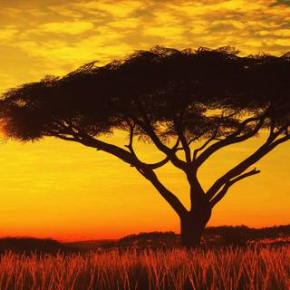 Tanzania beautiful wallpaper