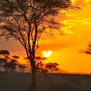 Tanzania beautiful wallpaper