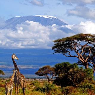 Tanzania beautiful wallpaper