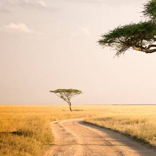 Tanzania beautiful wallpaper