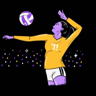 LSU volleyball wallpaper