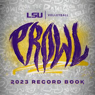 LSU volleyball wallpaper