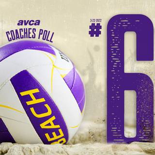 LSU volleyball wallpaper