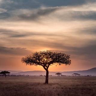 Tanzania beautiful wallpaper