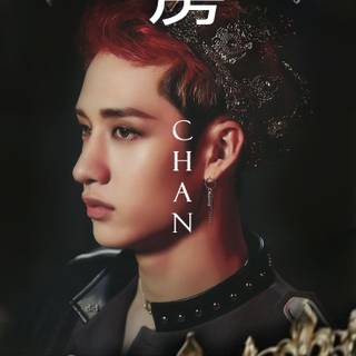 Chanmin Stray Kids wallpaper