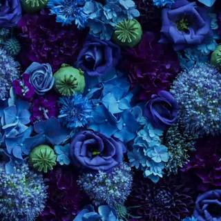 Blue and purple flowers wallpaper