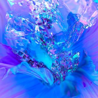 Blue and purple flowers wallpaper