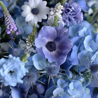 Blue and purple flowers wallpaper