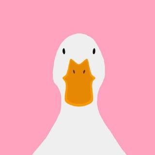 Preppy duck wallpaper