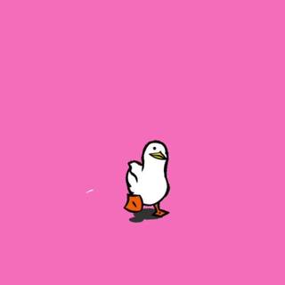 Preppy duck wallpaper