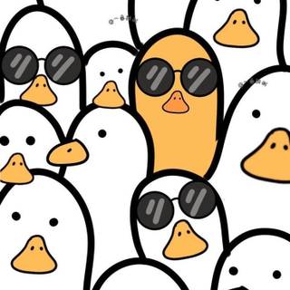 Preppy duck wallpaper