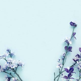 Blue and purple flowers wallpaper