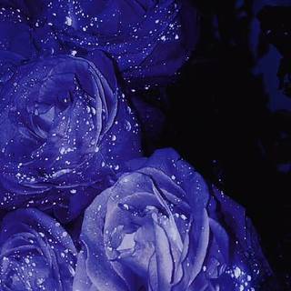 Blue and purple flowers wallpaper