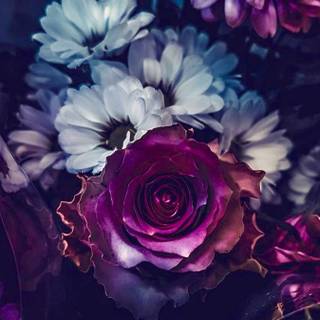 Blue and purple flowers wallpaper