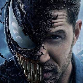 Venom and Eddie wallpaper