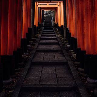 iPhone Torii Gate wallpaper