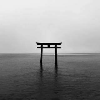 Japanese Torii Gate 4k wallpaper