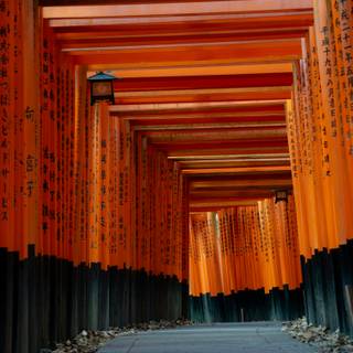iPhone Torii Gate wallpaper