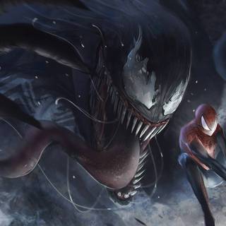 Spider-Man vs Venom PC wallpaper