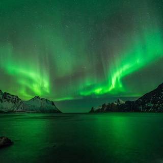 Green aurora wallpaper