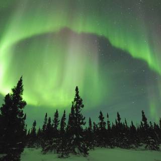 Green aurora wallpaper