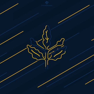 Fenerbahce PC wallpaper