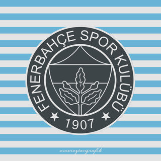 Fenerbahce PC wallpaper