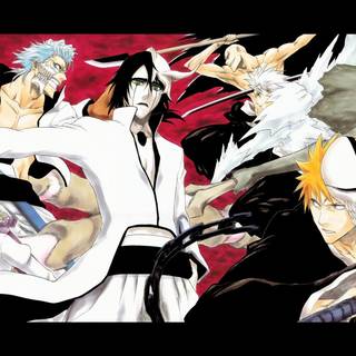 Bleach Shinigami wallpaper